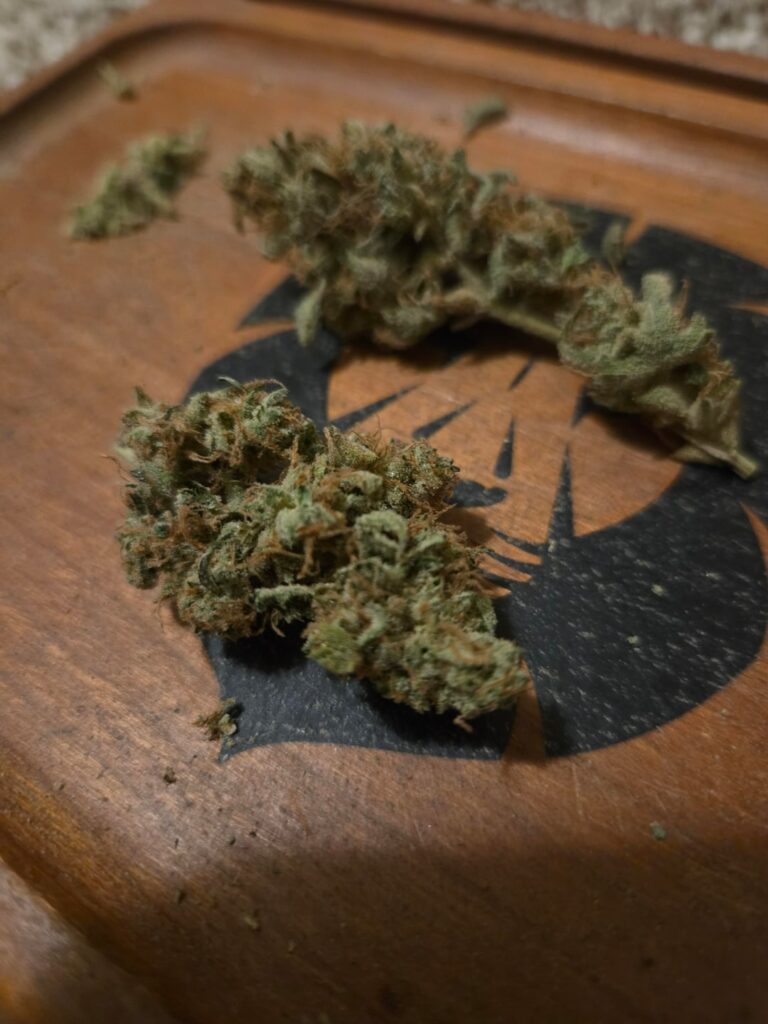 Blue Dream 4 weeks after cure.