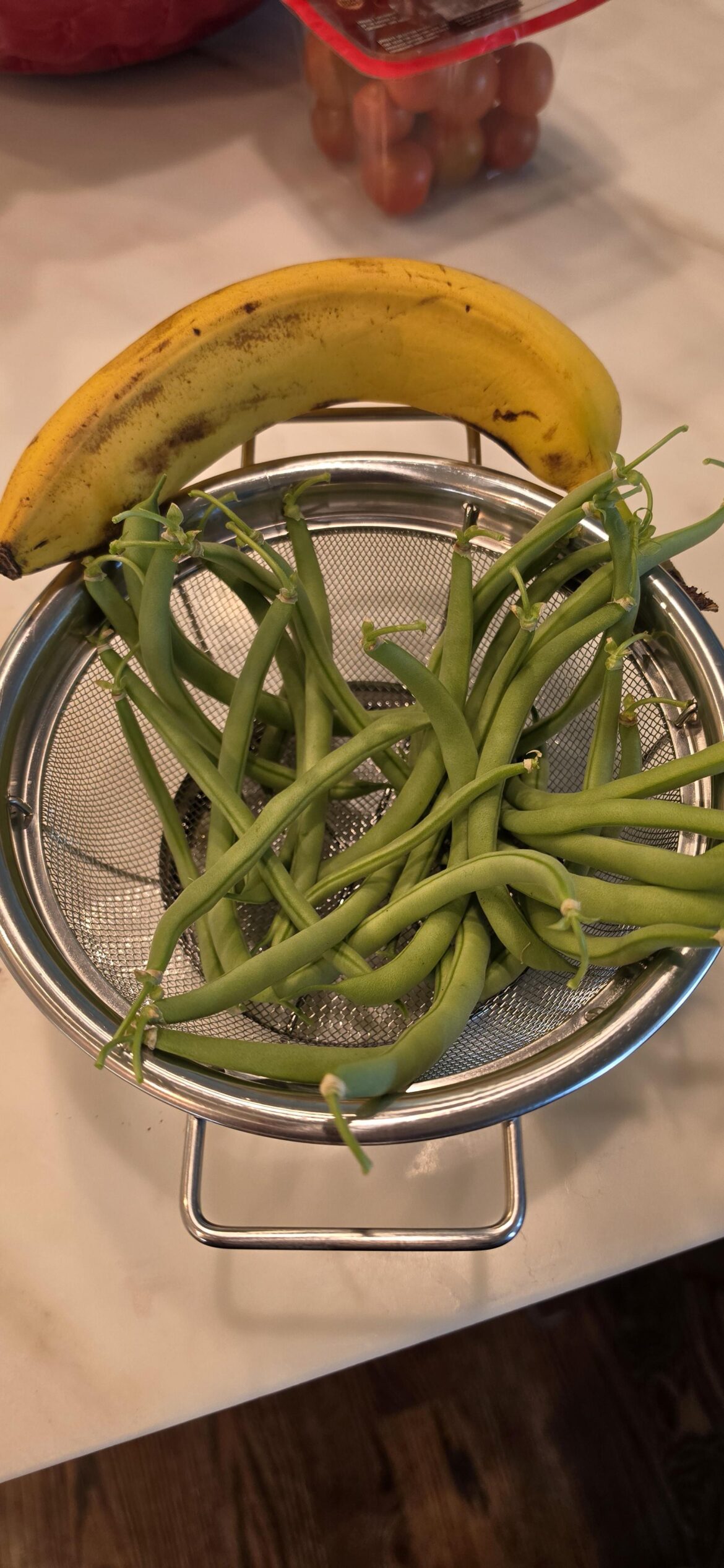 I Grew Green Beans!!