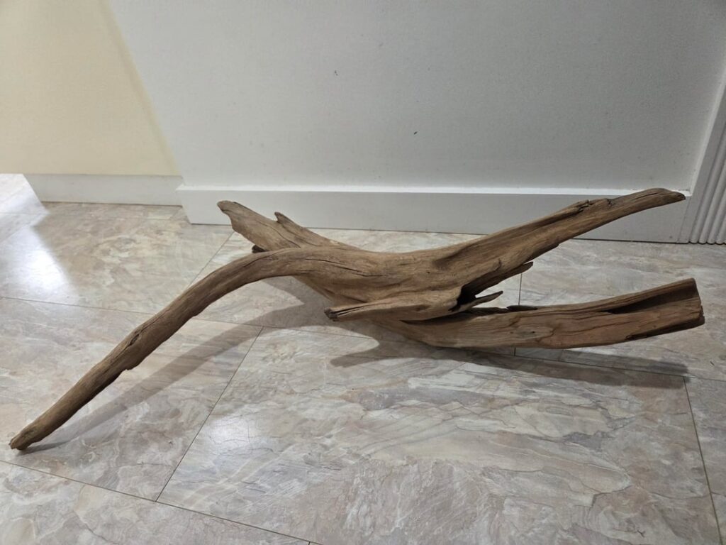 Terrarium/aquarium wood Terrarium/aquarium wood