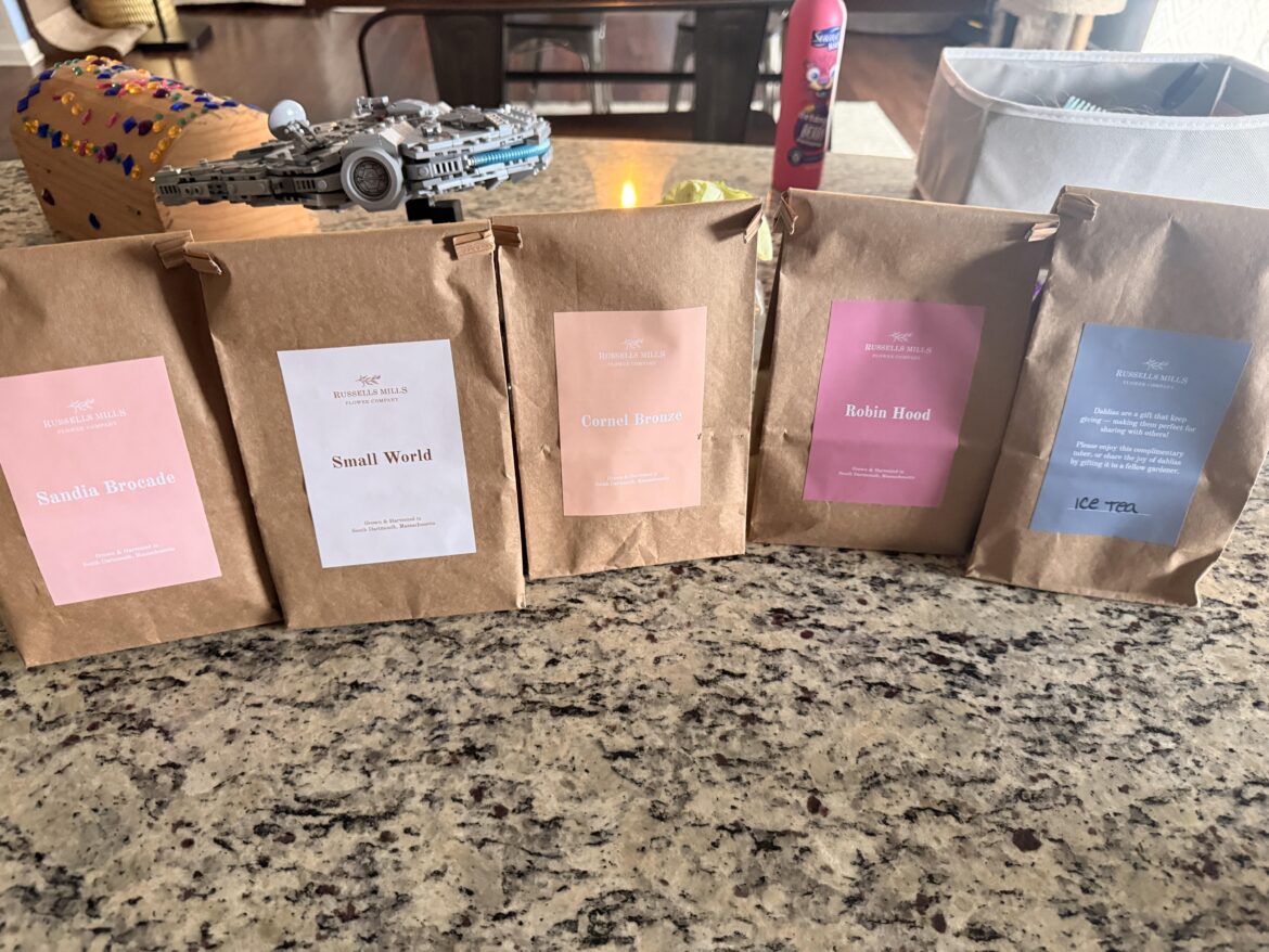 The gang’s all here!