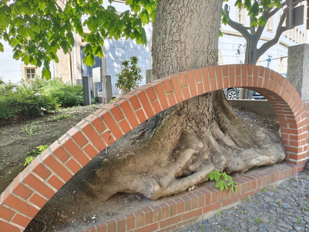 Packed root flare
