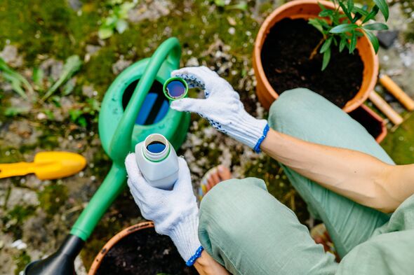 Close up of woman's hands in gloves pours liquid mineral fertilizer in watering can with water in backyard. Cultivation and cari Close up of woman's hands in gloves pours liquid mineral fertilizer in watering can with water in backyard. Cultivation and cari