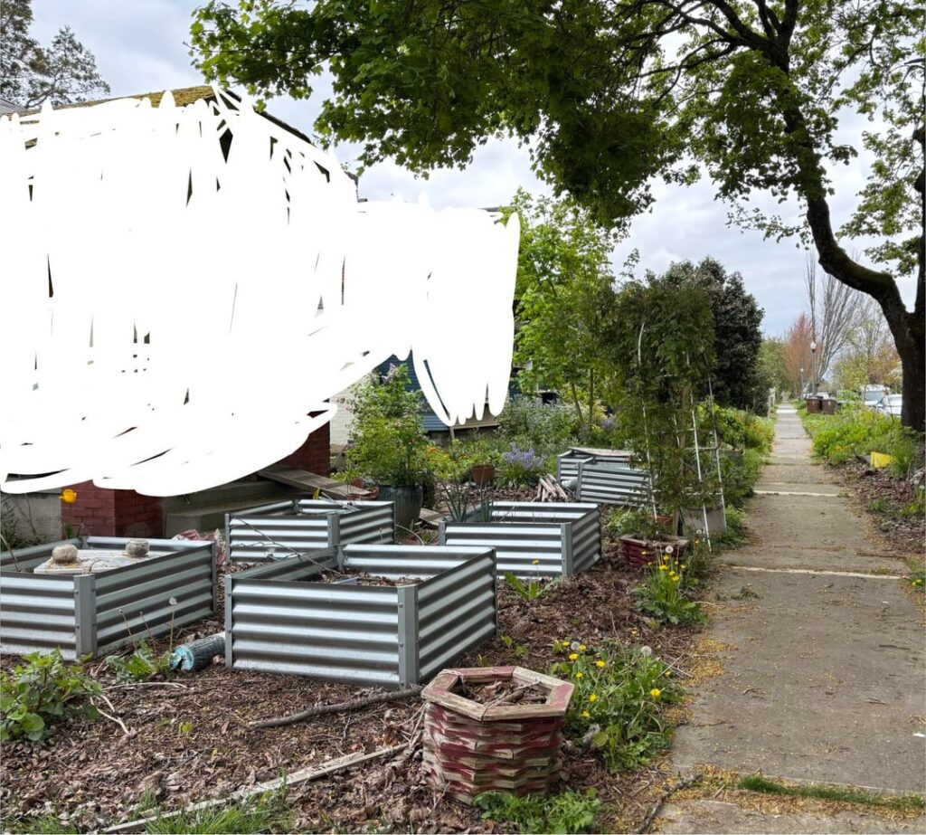Front Yard Alternatives in a 3 Block Radius Front Yard Alternatives in a 3 Block Radius