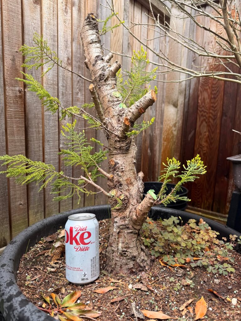 Branch selection help Branch selection help