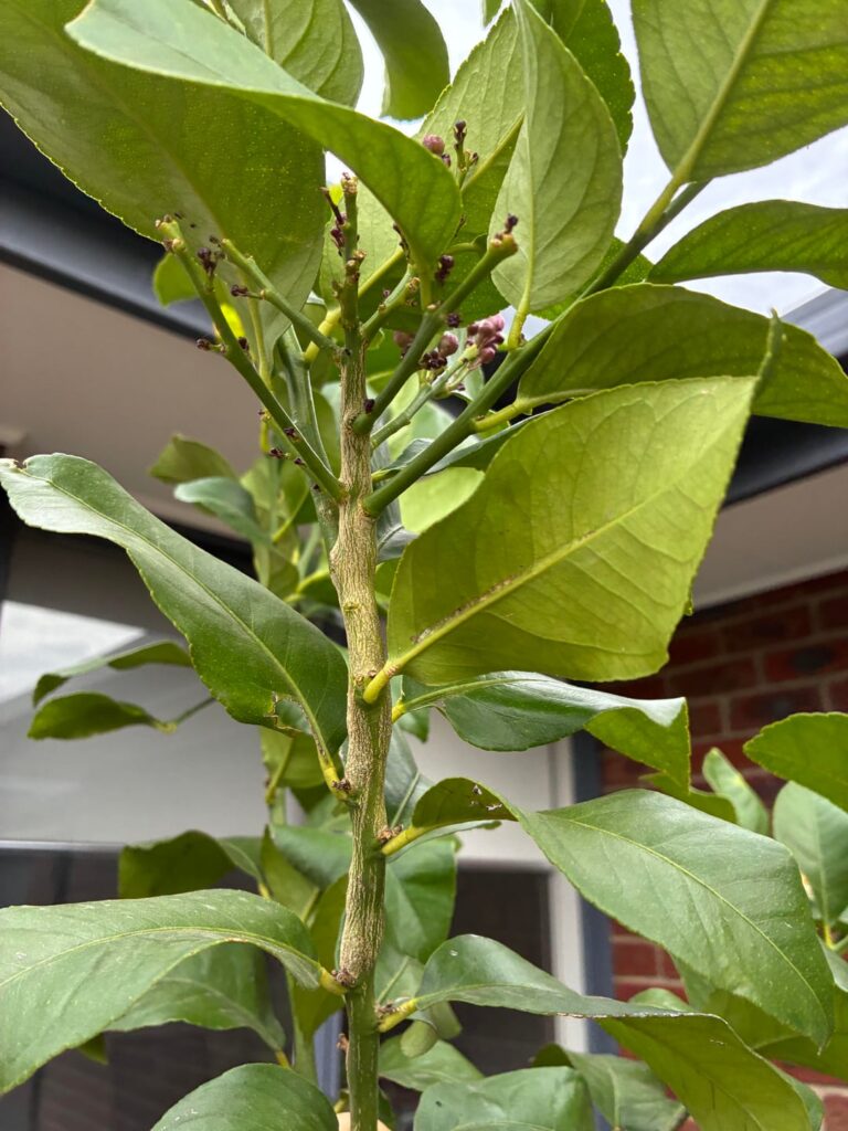 Is this what I think it is? Is this what I think it is?