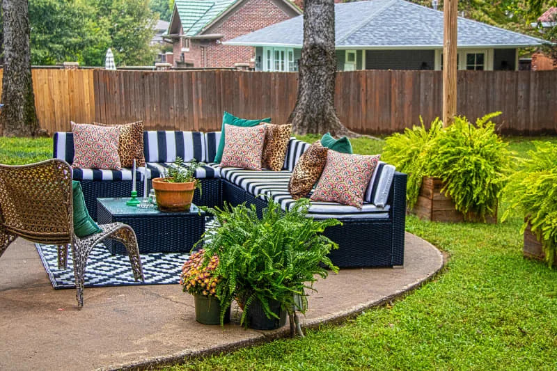 5 Plants Pros Say Nobody Should Have in Their Garden Apartment Therapy