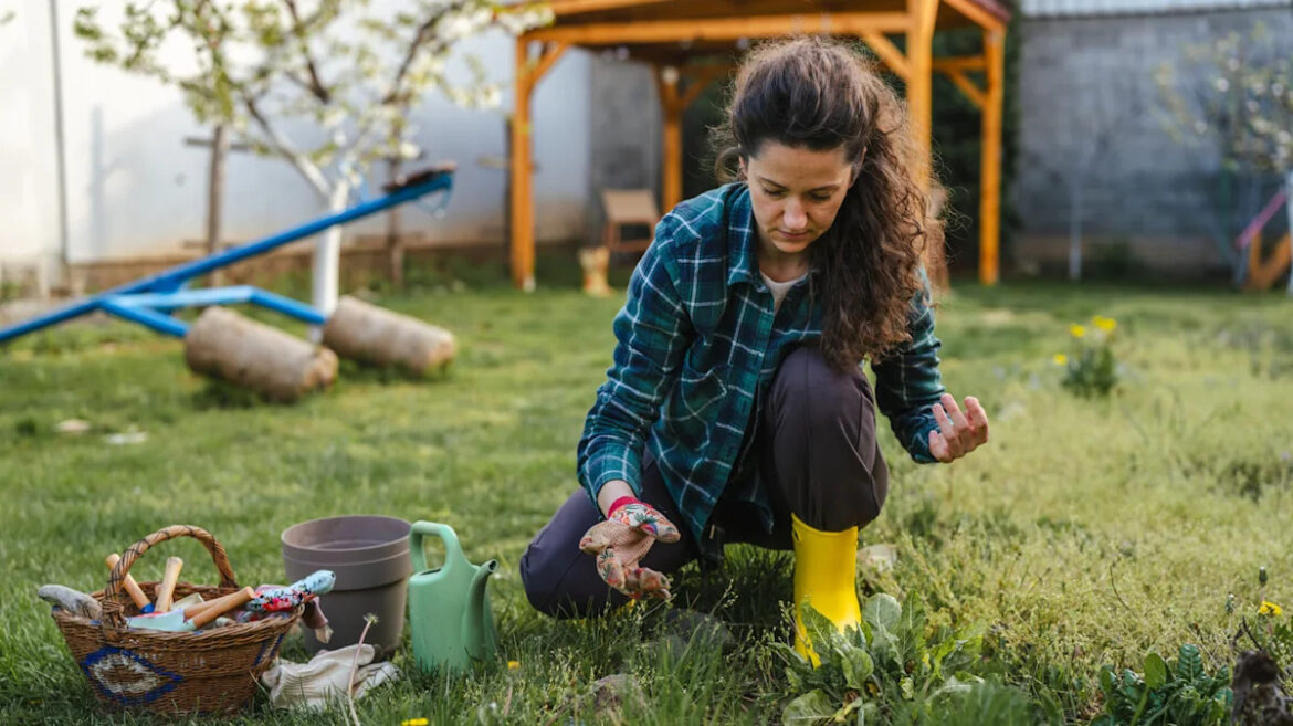 The Award-Winning Shade Perennial Even Beginner Gardeners Can Grow Successfully Hunker