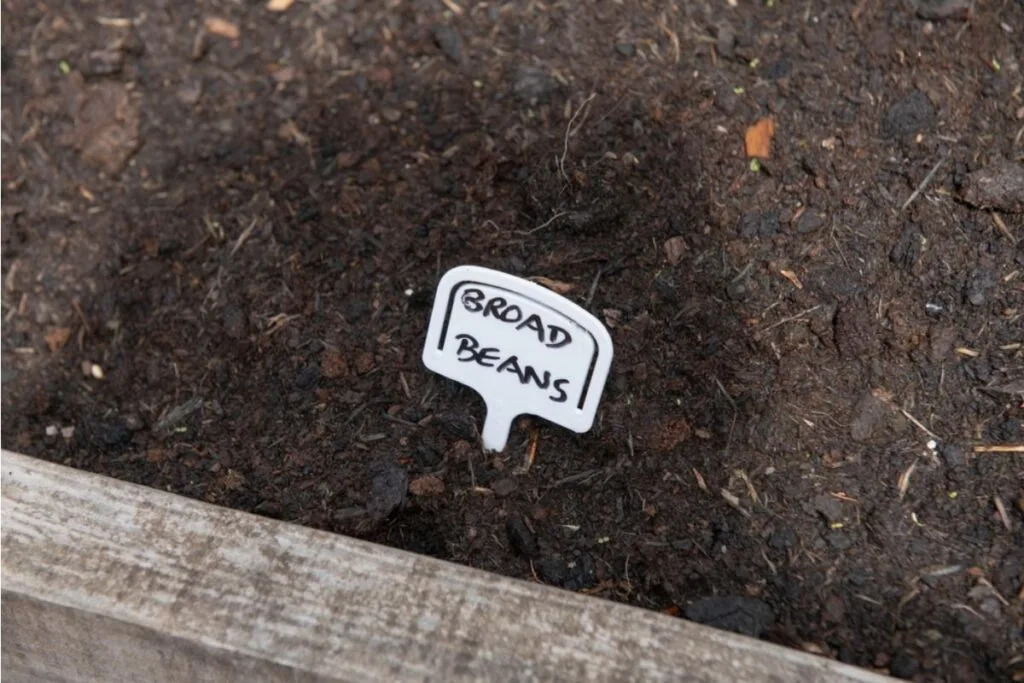 Gardener Says Someone Keeps Swapping Plant Labels in Her Backyard, Now Her Entire Vegetable Patch Is Getting Confused Lovely Garden Roots