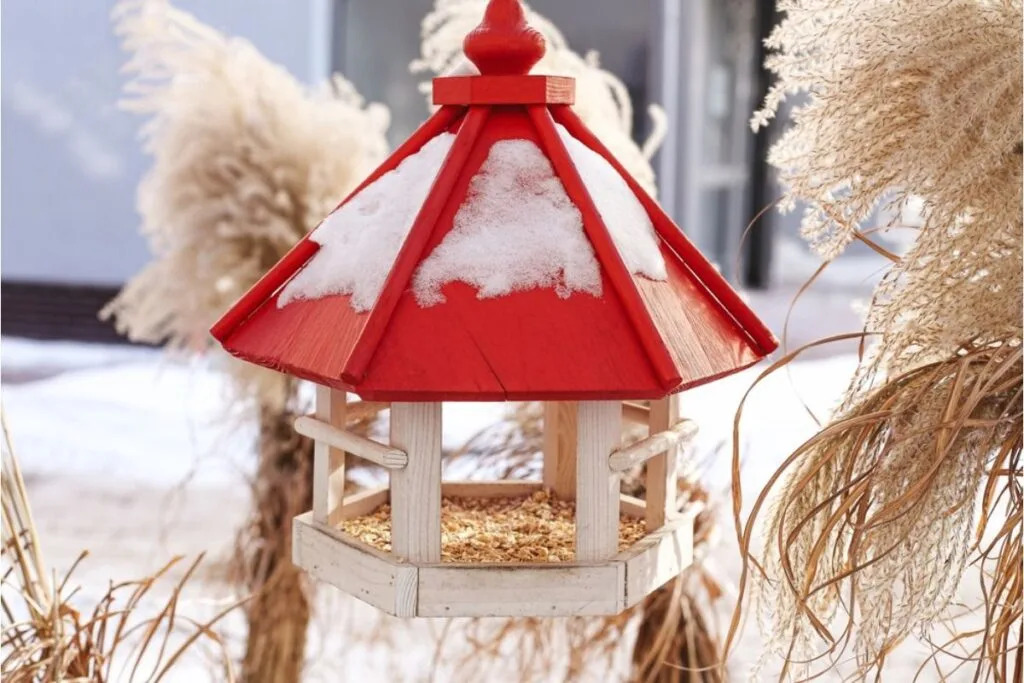 Gardener Says Someone Keeps Refilling Her Bird Feeder With the Wrong Seeds, Now Unwanted Plants Are Sprouting Across the Garden Lovely Garden Roots