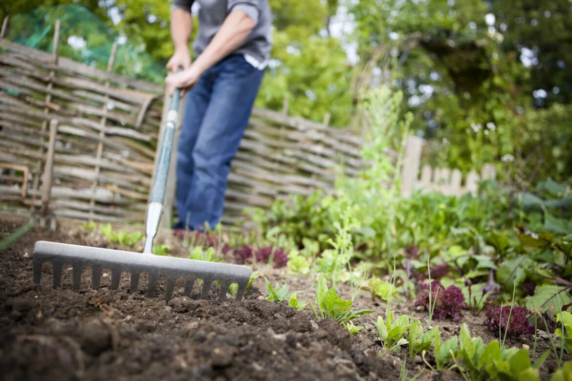 We Asked Gardening Pros What the Best Soil for Vegetable Gardens Is—Here’s What They Said NY Post US News articles