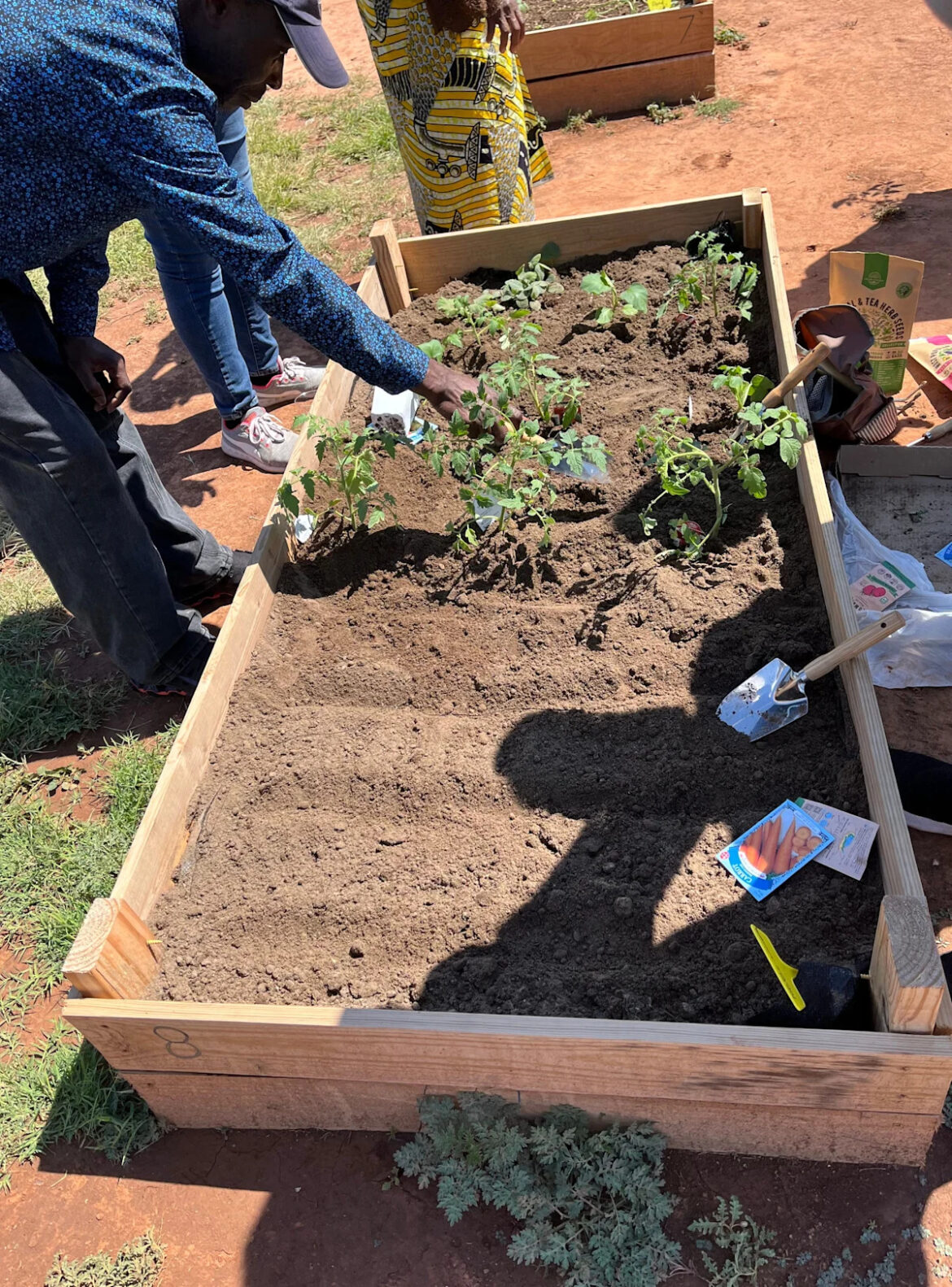 How an Abilene garden is supporting local refugees USA TODAY