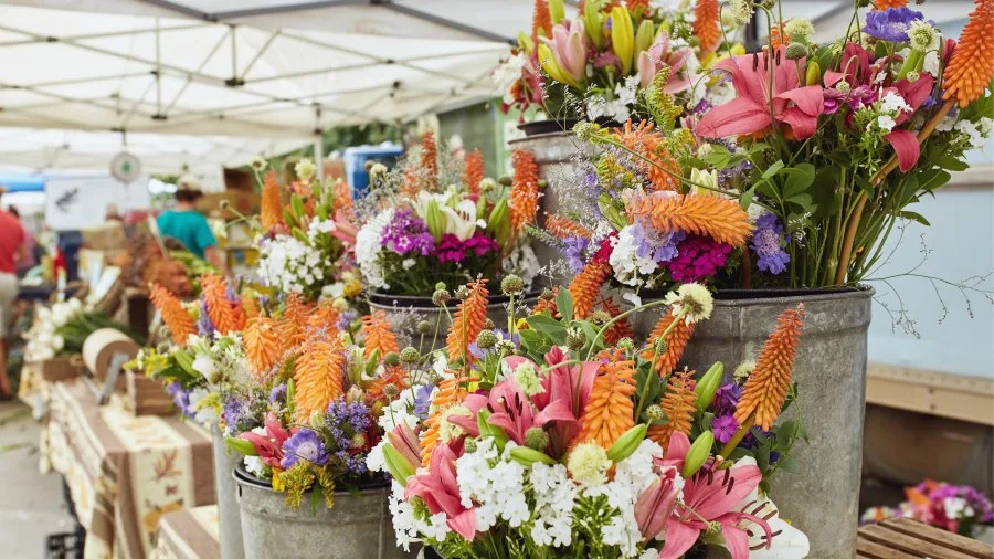 May 16: CCE Annual Master Gardener Plant Sale WWTI Watertown