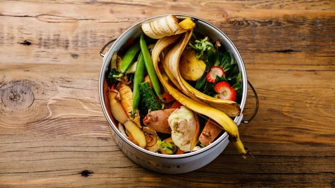9 Things You’re Tossing in the Trash That Could Fix Your Garden Soil for Free 9 Things You're Tossing in the Trash That Could Fix Your Garden Soil for Free