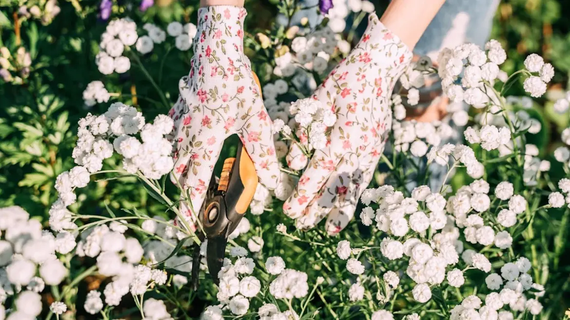 27 Best Gardening Tools for All Plant Parents, From Beginners to Experts 27 Best Gardening Tools for All Plant Parents, From Beginners to Experts