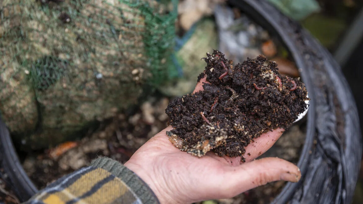 Not Food Scraps, Not Paper: The Bizarre Item You Could Be Adding To Your Garden Compost Not Food Scraps, Not Paper: The Bizarre Item You Could Be Adding To Your Garden Compost