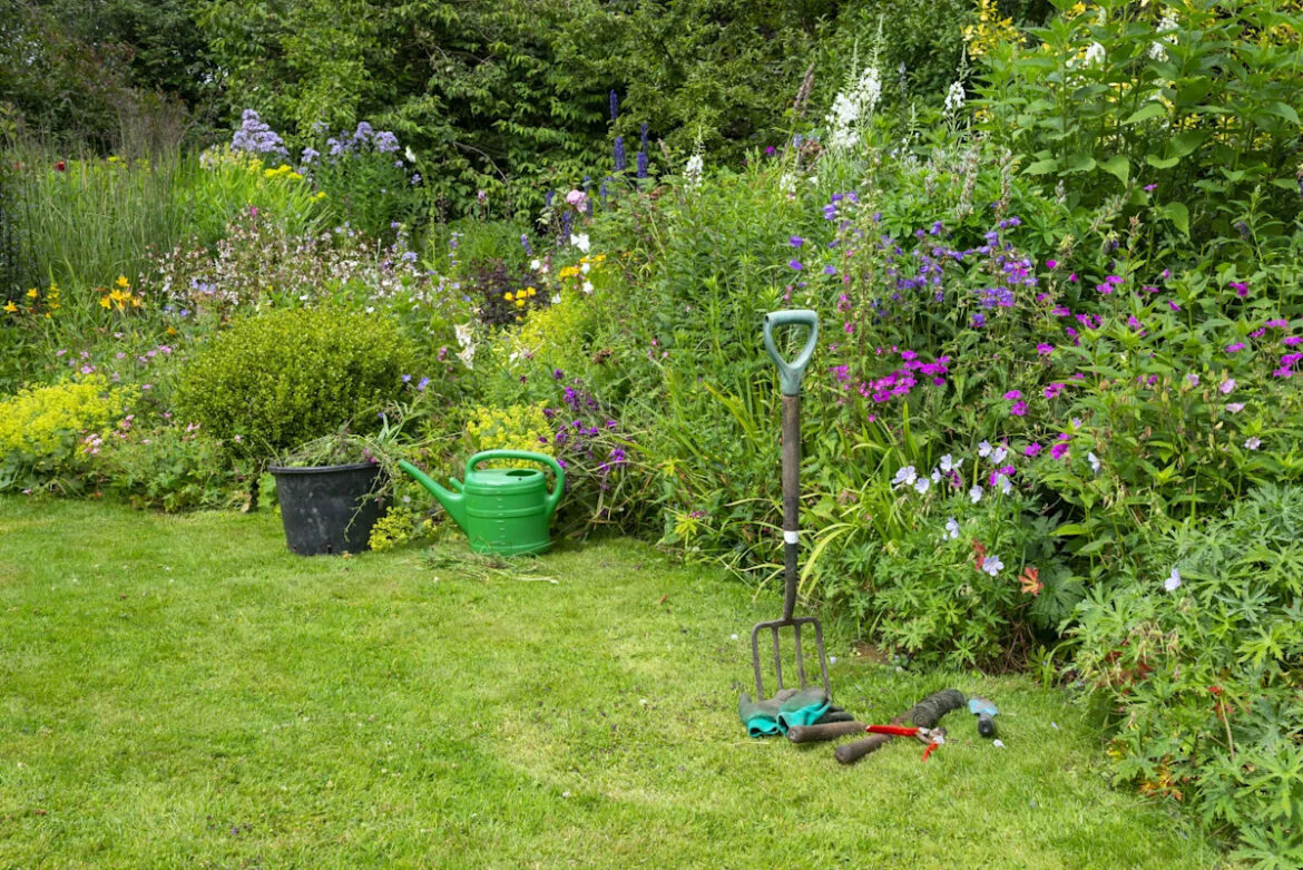This June Garden Task Can Pay Off All Summer Long This June Garden Task Can Pay Off All Summer Long