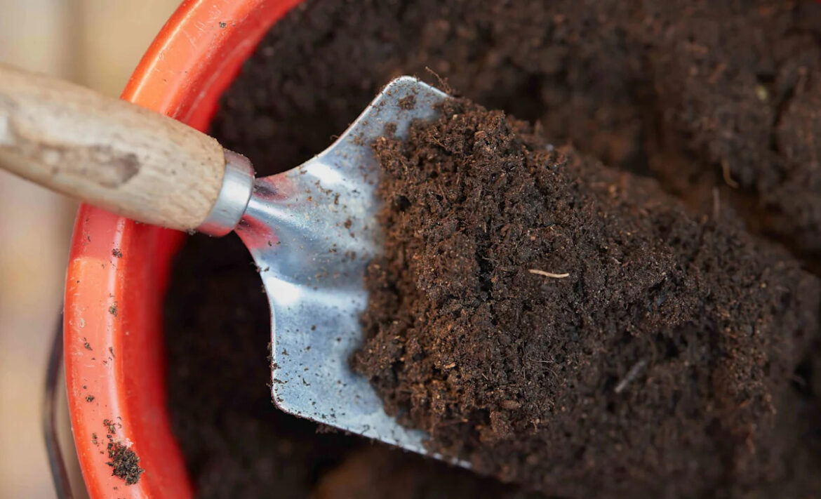 Potting Soil And Potting Mix Aren’t The Same Thing—Here’s Why Potting Soil And Potting Mix Aren't The Same Thing—Here's Why