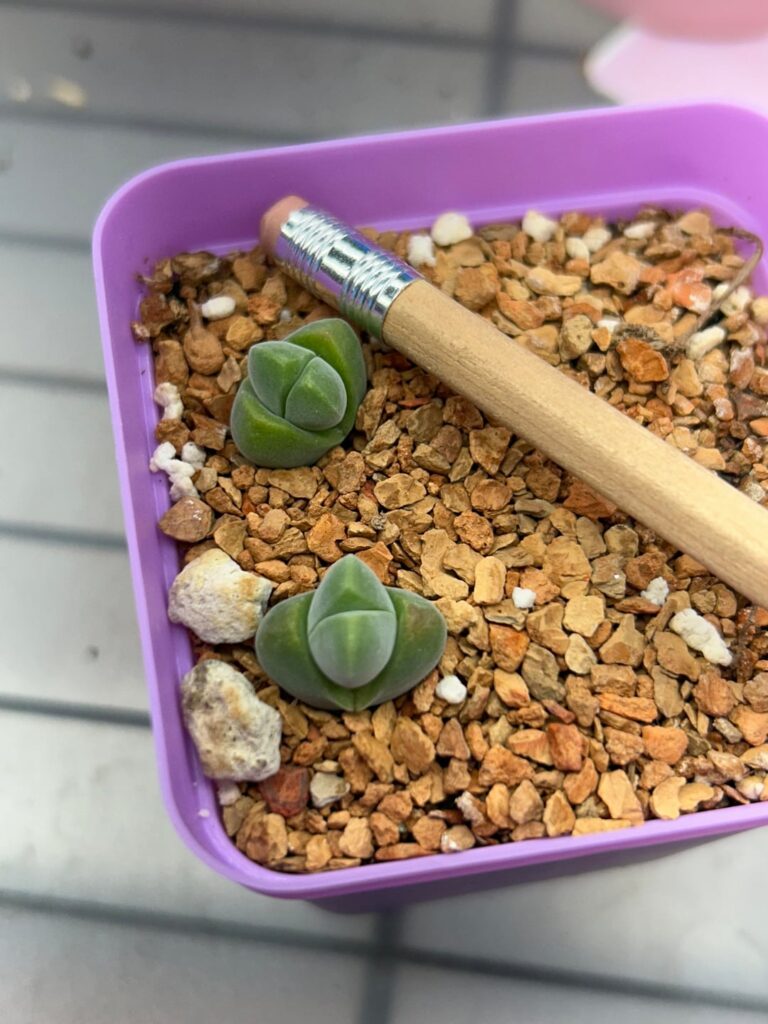 The two cutest little fuzzies 💚