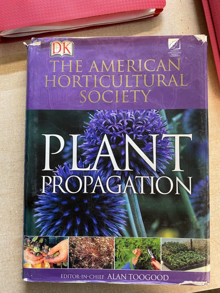 y'all would love this book