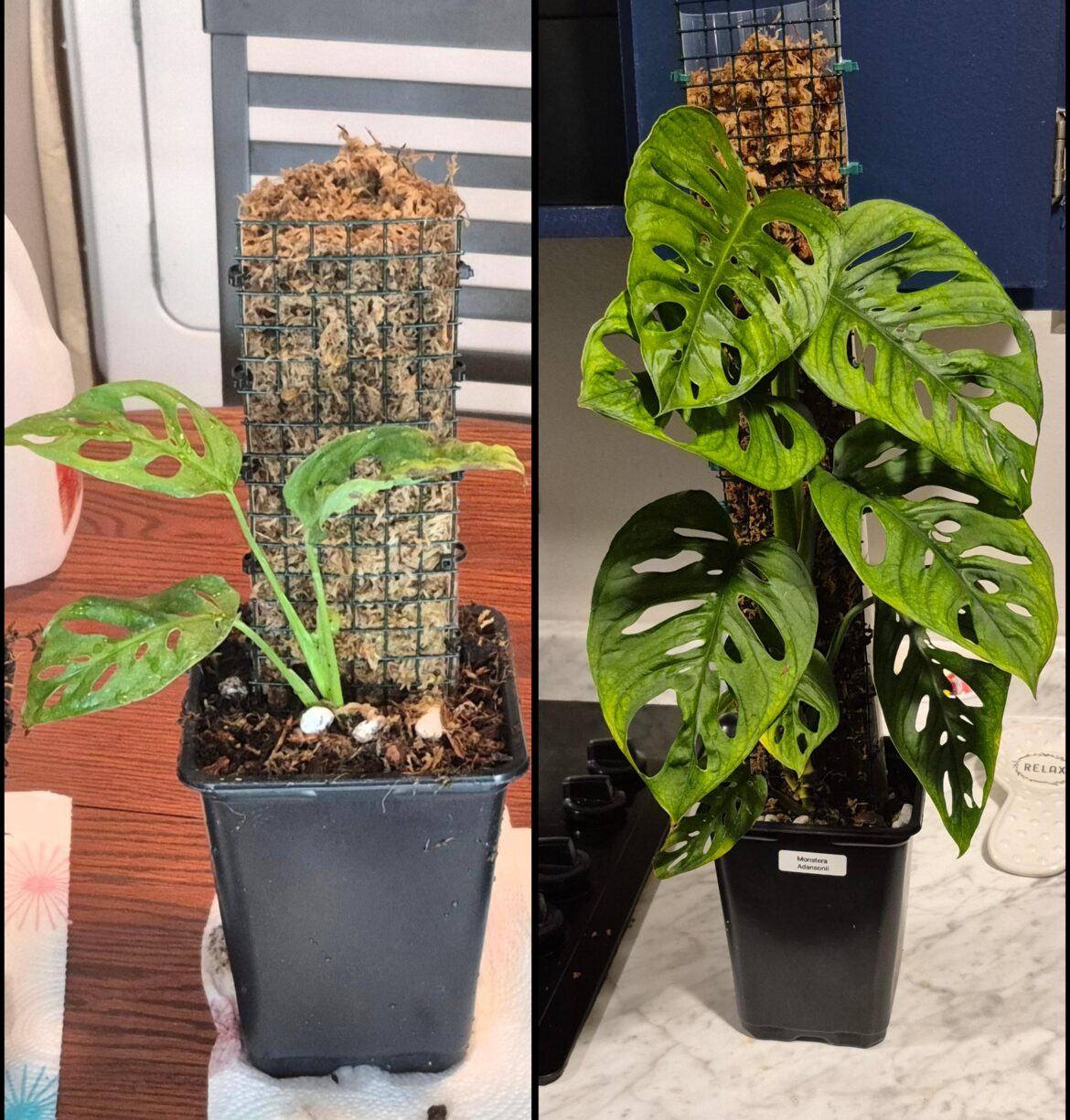 4 months of growth!