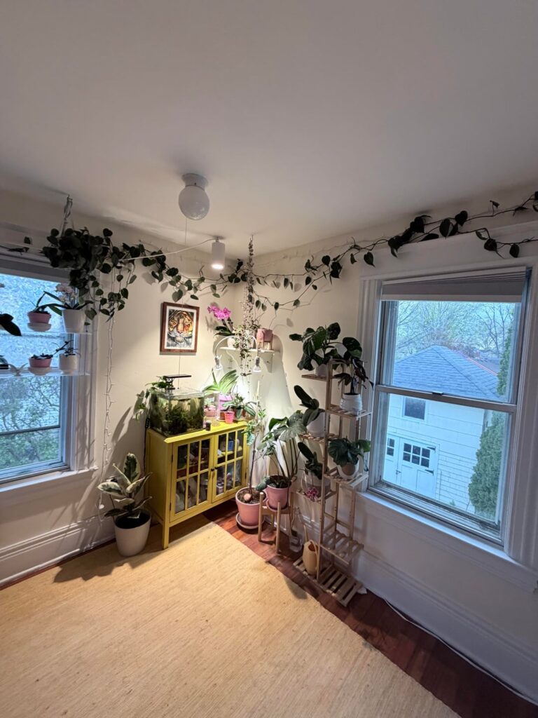 My bedroom 🌸