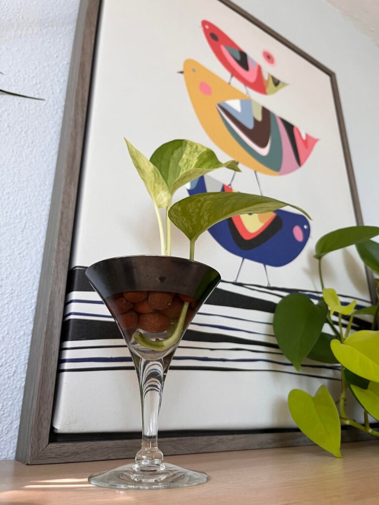 A new use for something I treasure