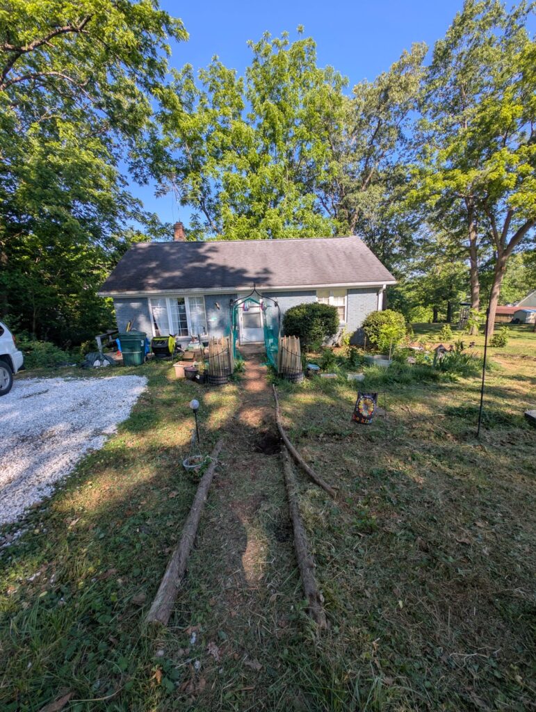 Recommendations for letting the violets and clover take over the yard? Recommendations for letting the violets and clover take over the yard?