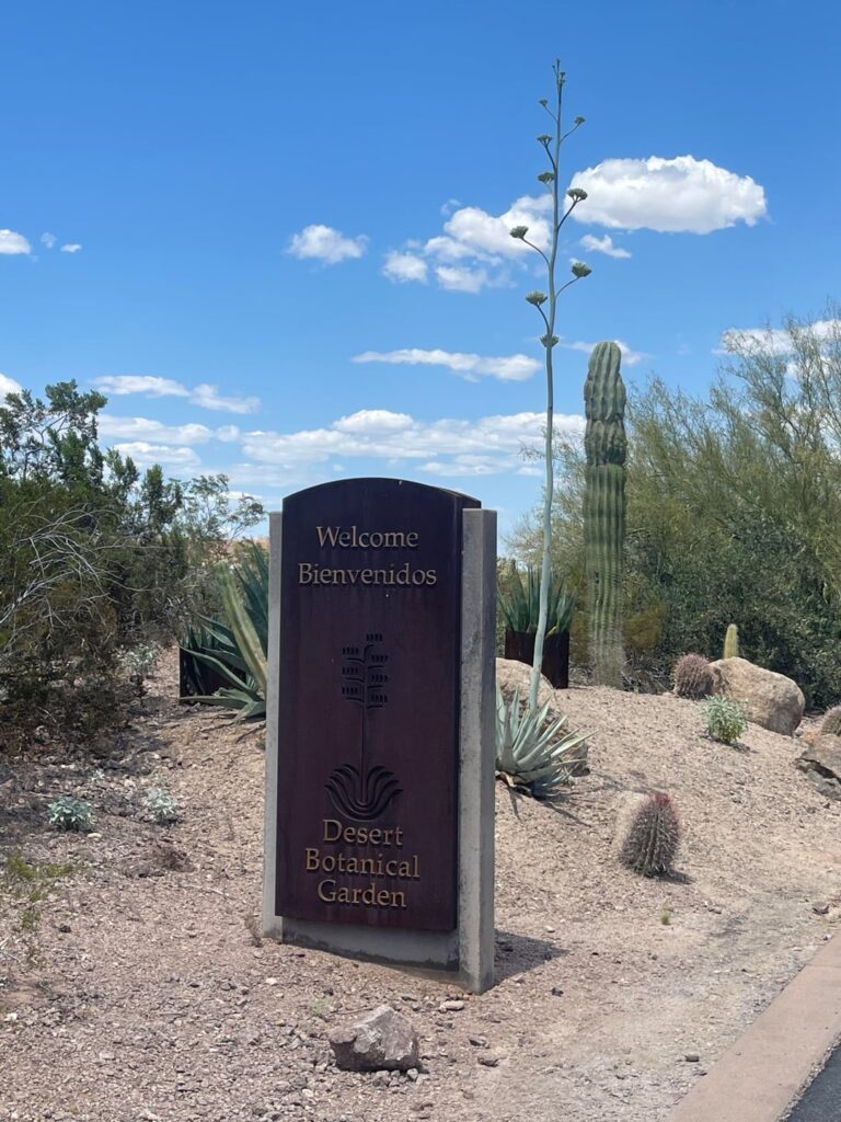 Desert Botanical Garden - Phoenix, AZ