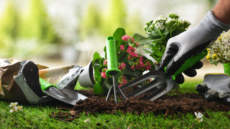 Close-up of a hand using hand rake on soil with various other gardening tools around it and potted flowers in background