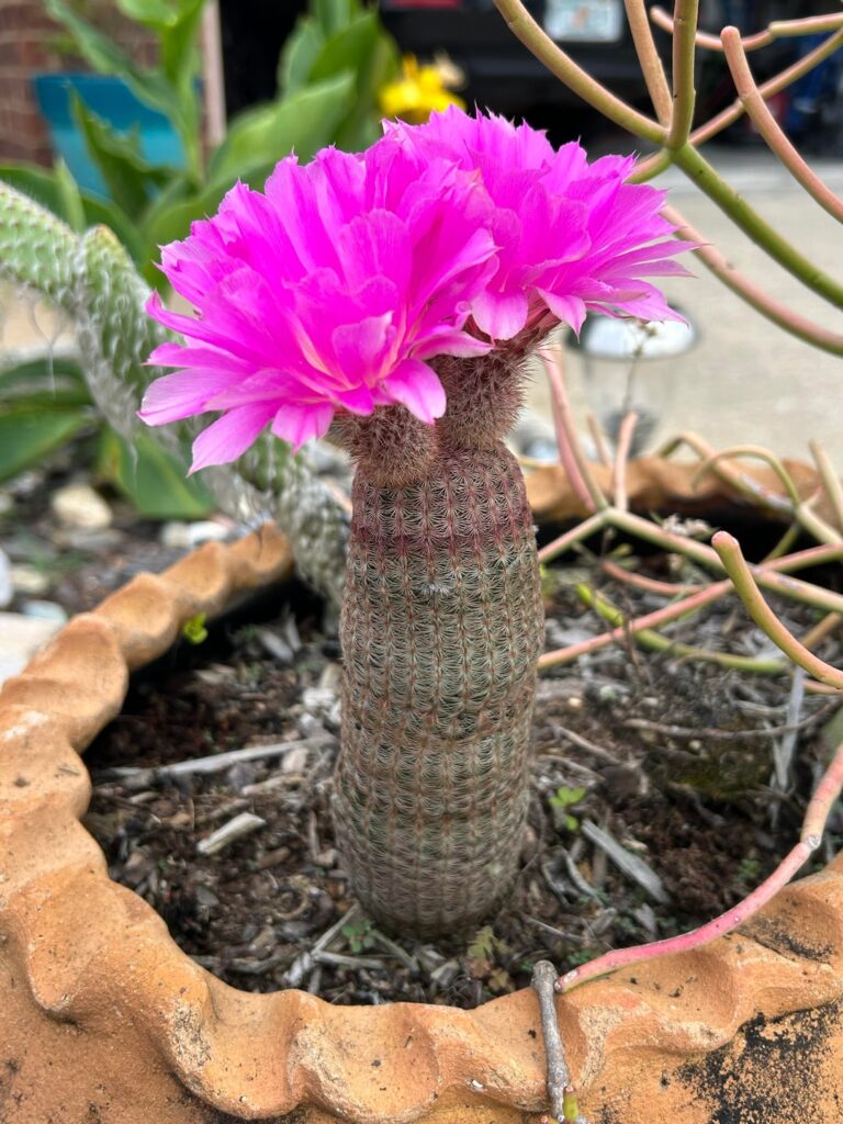 My favorite time of the year!