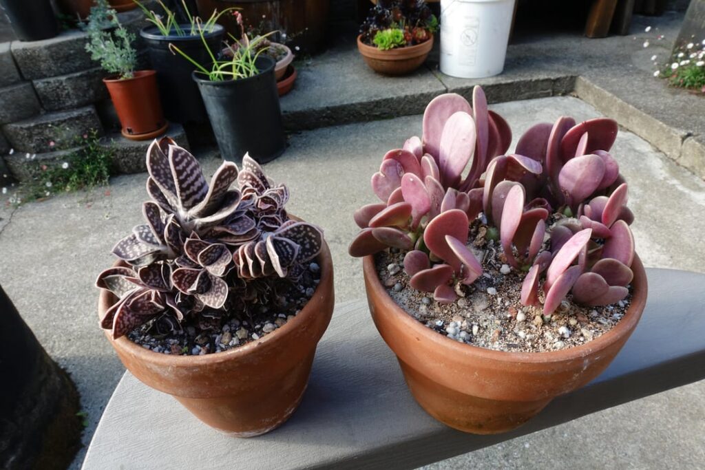 Got these for free was wondering what they are?