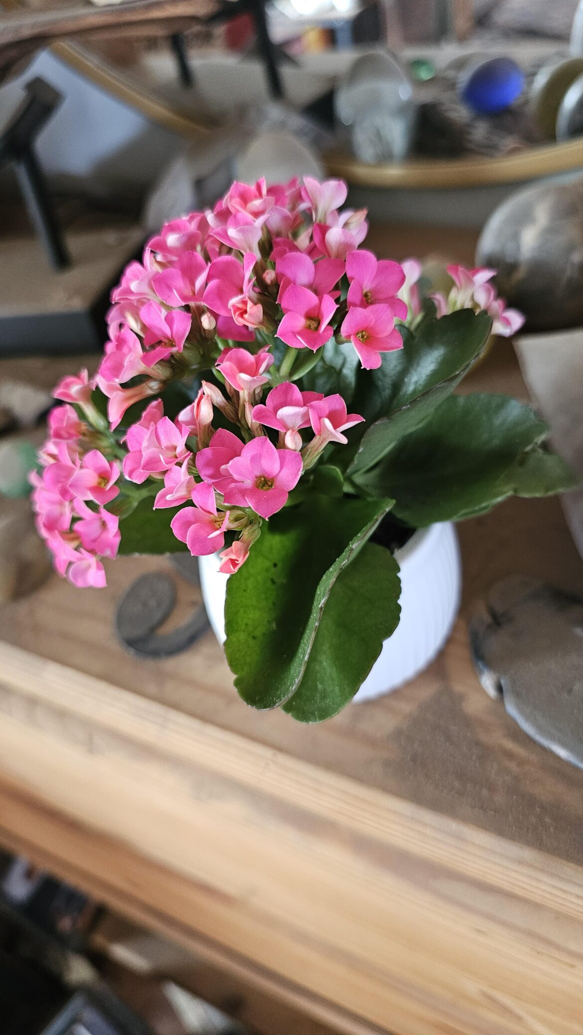 Girlfriend bought this for me! :)