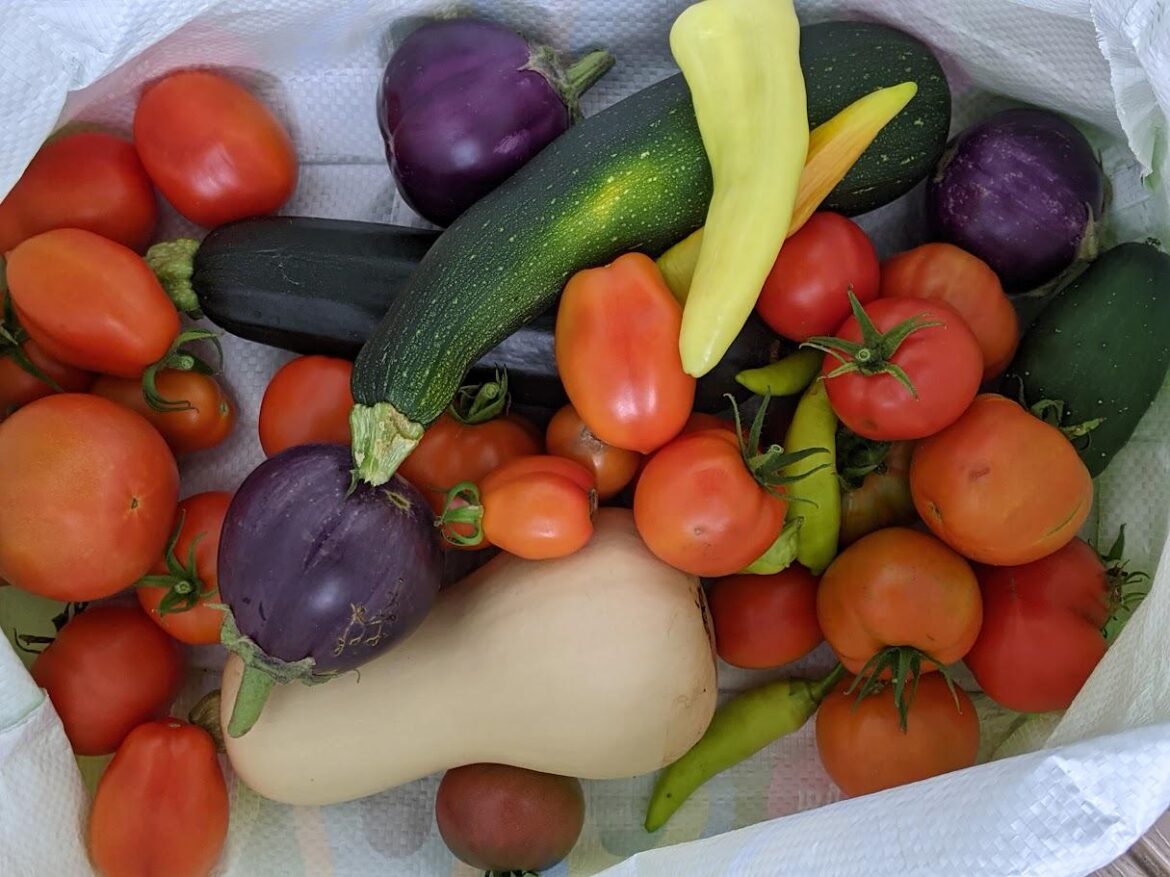 Vegetable harvest photo competition