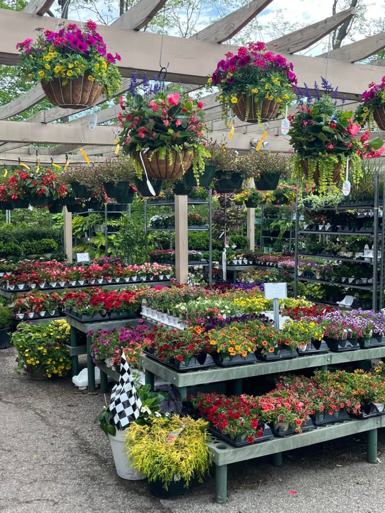 I love my job 🌺