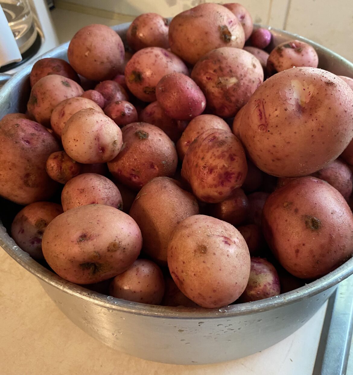Reds r harvested