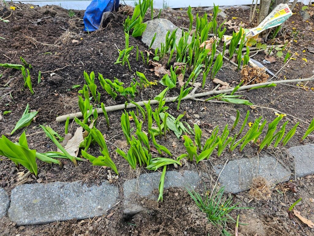What is this and what is the easiest way to get rid of it?