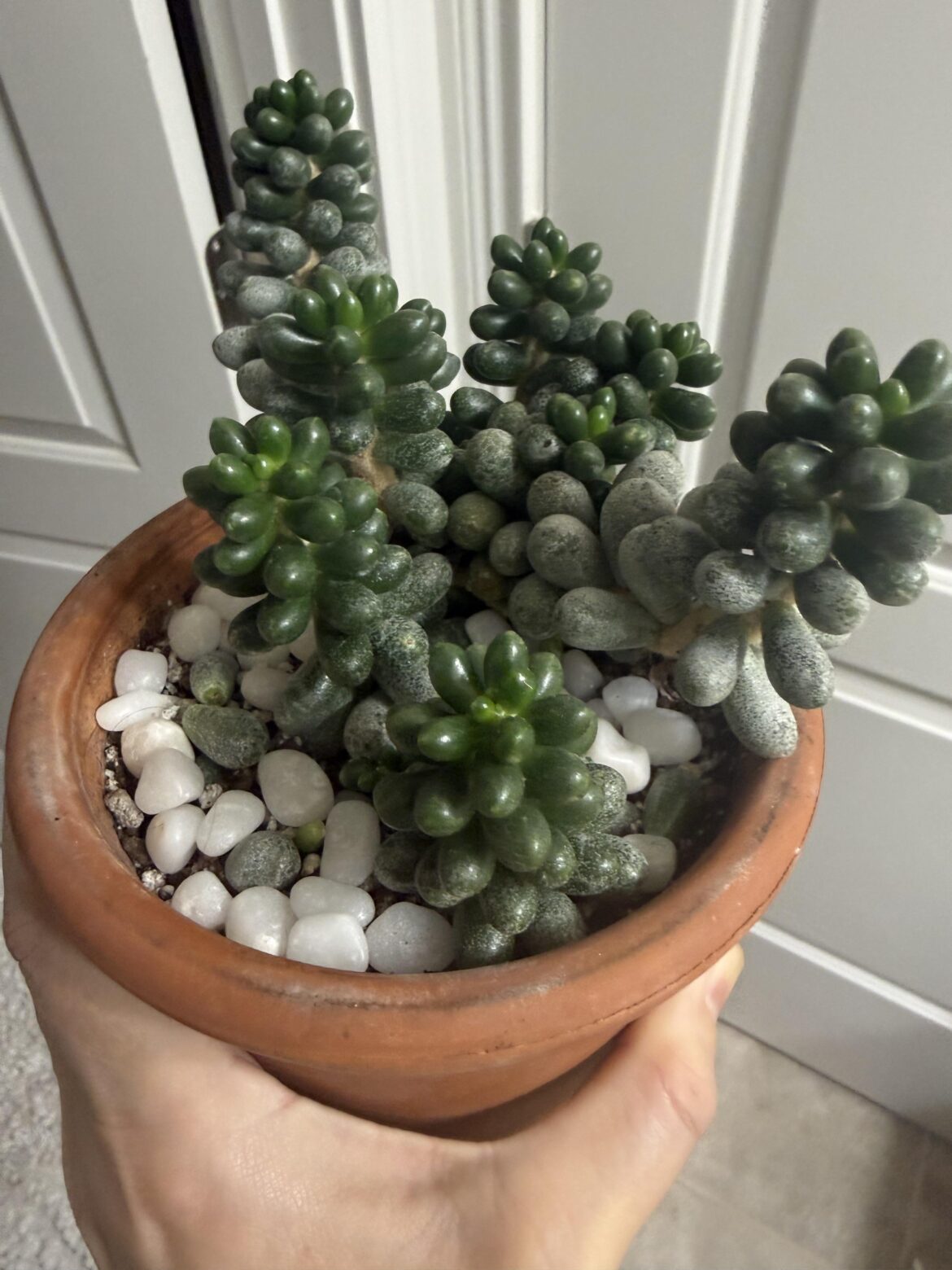 Yall got an ID on this one?