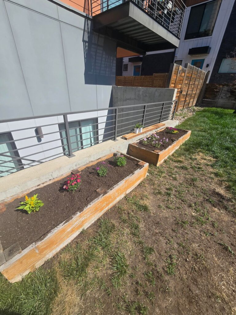 What should I do with this dead grass area? Put down flagstone? Re-sod? Re-seed? What should I do with this dead grass area? Put down flagstone? Re-sod? Re-seed?