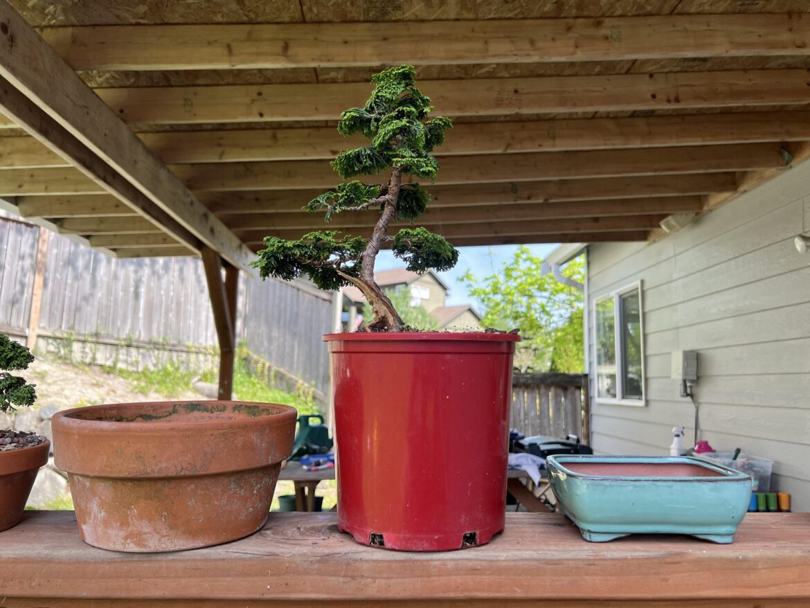Downsizing fast…ish? Downsizing fast…ish?
