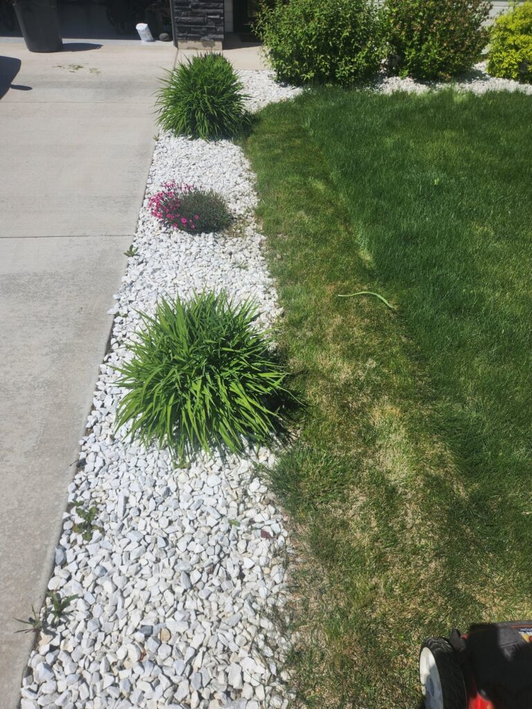 How to stop grass encroaching on my rocks