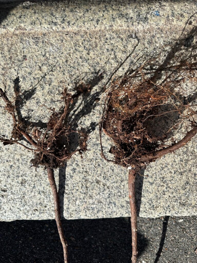 Can these be saved?
