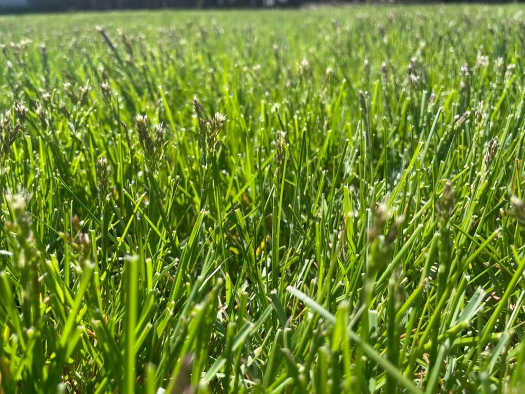 What am I looking at here? New England 7a