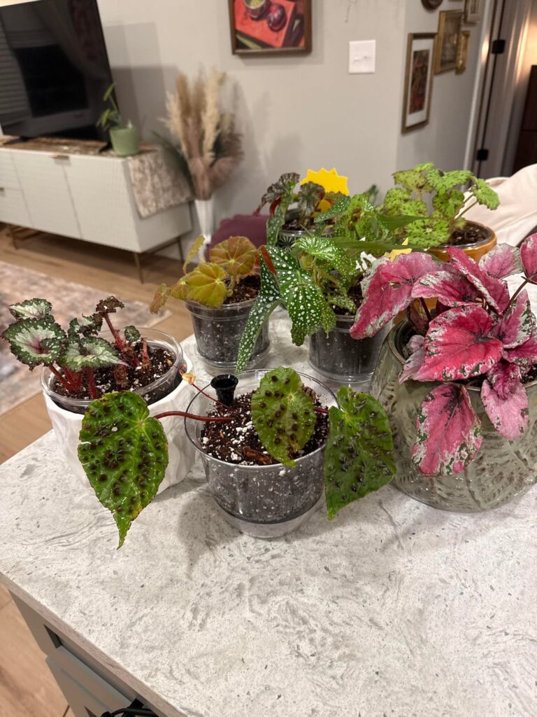 Any advice on how to save it?