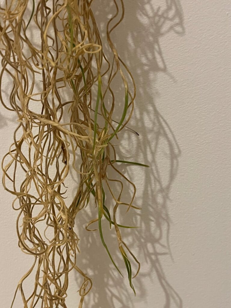 How to propagate?
