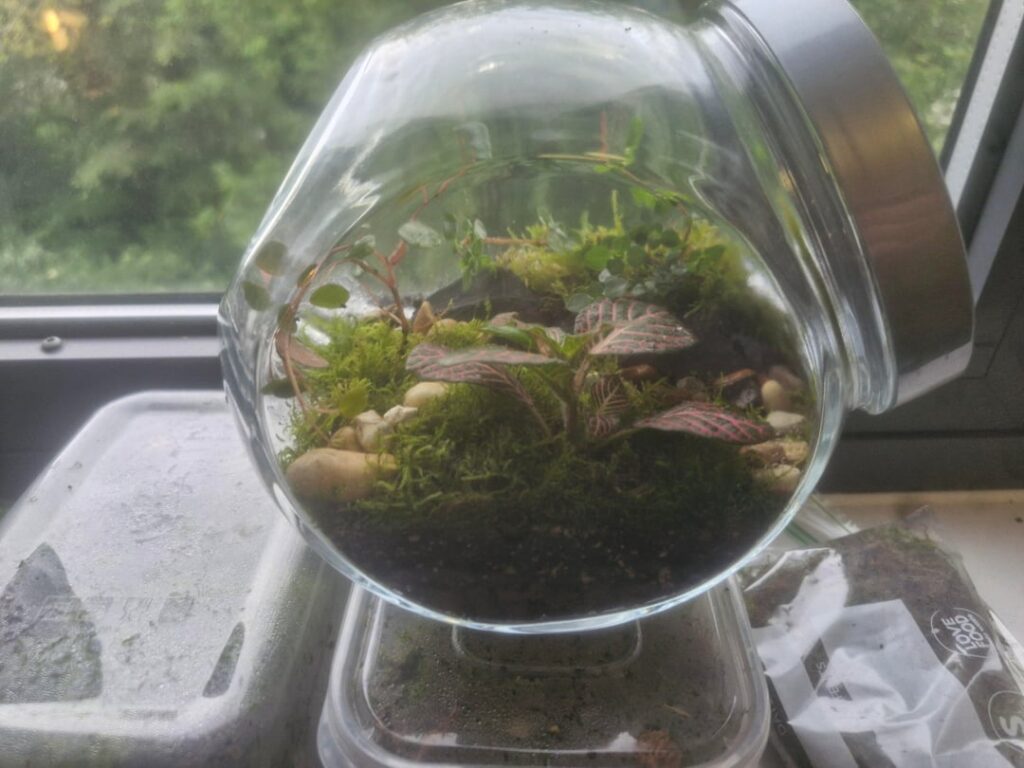 Thanks for the new hobby. Thanks for the new hobby.