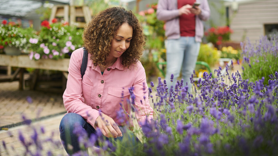 Costco May 2026: Best New Plants To Buy This Month Costco May 2026: Best New Plants To Buy This Month