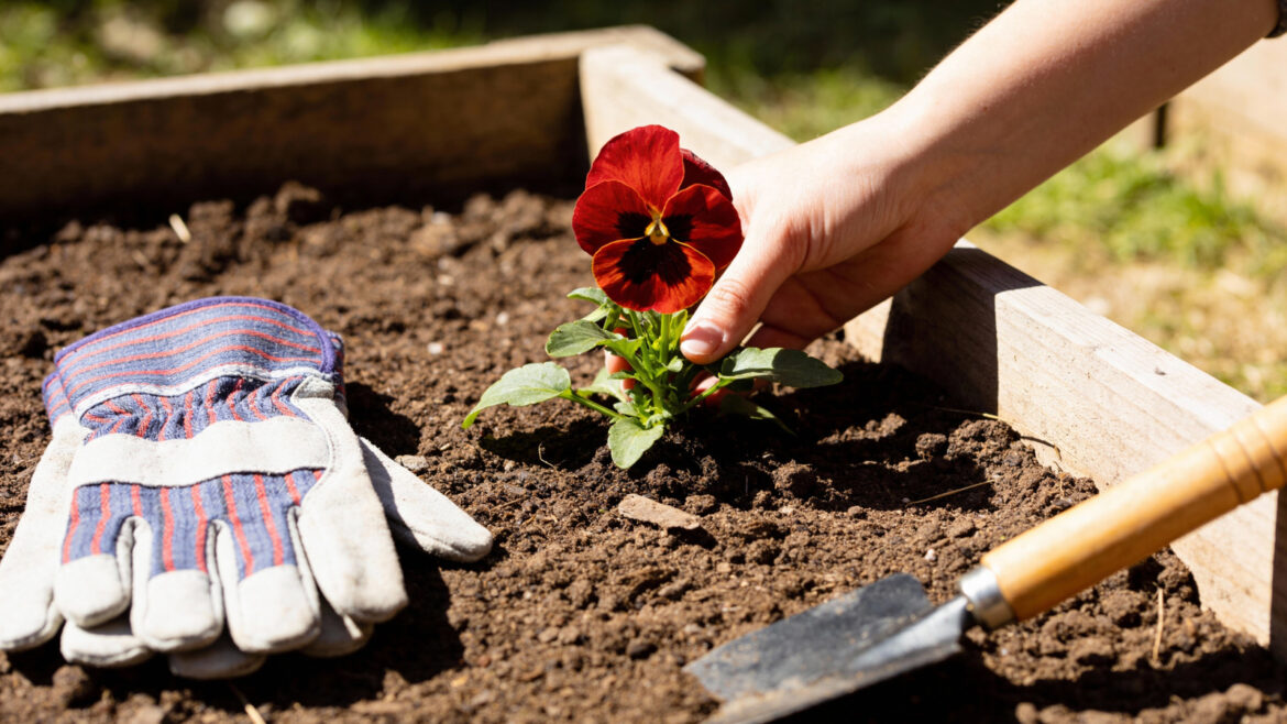 The 14 Best Amazon Gardening Tools, According To Customers The 14 Best Amazon Gardening Tools, According To Customers