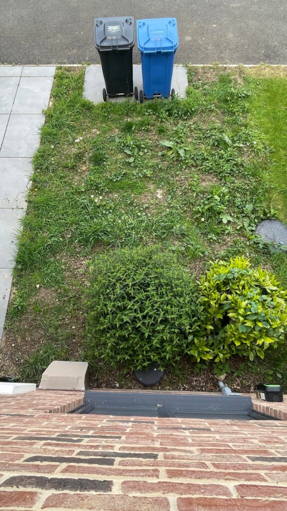 No lawn or overgrown mess? No lawn or overgrown mess?