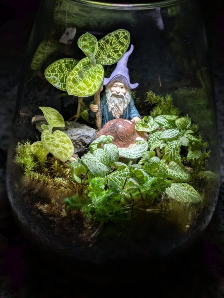 My terrarium My terrarium