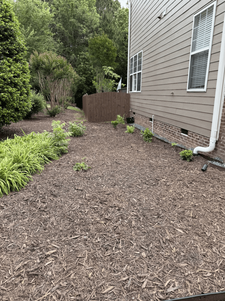 Just wanted to share my native planting journey in North Carolina (zone 8a)! Just wanted to share my native planting journey in North Carolina (zone 8a)!